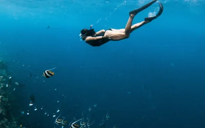Why Snorkeling in the Maldives is Unforgettable