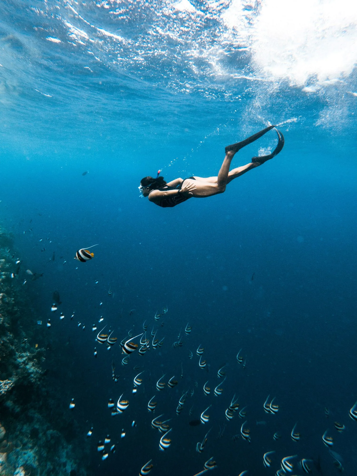 maldives snorkeling