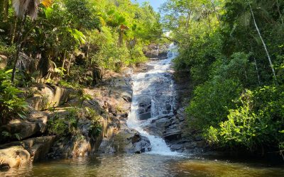 Seychelles: Not Just a Beach Paradise
