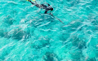 Why Snorkeling in Seychelles Is Unforgettable