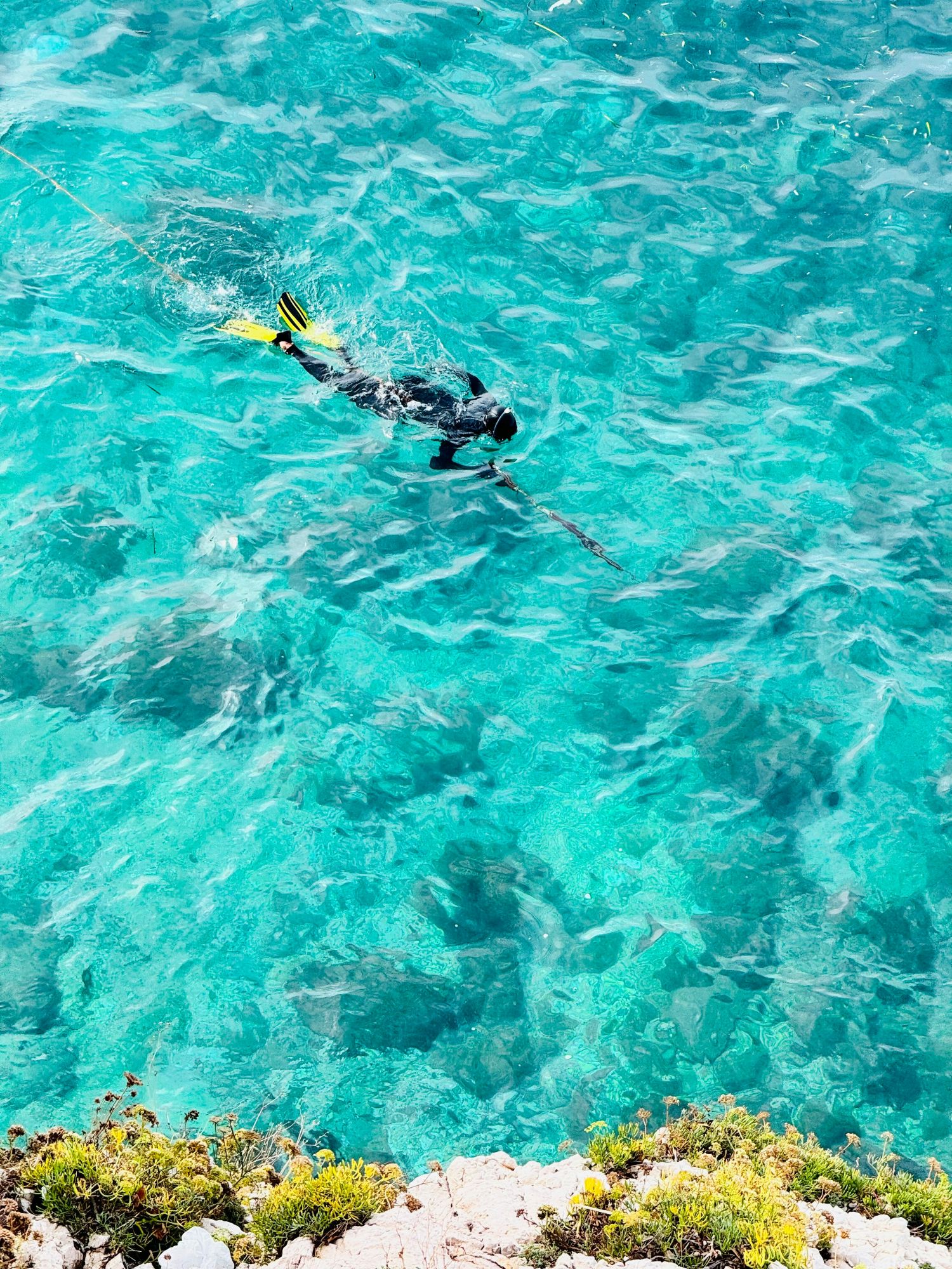 seychelles snorkeling