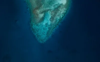 Why Zanzibar Is a Snorkeling Paradise