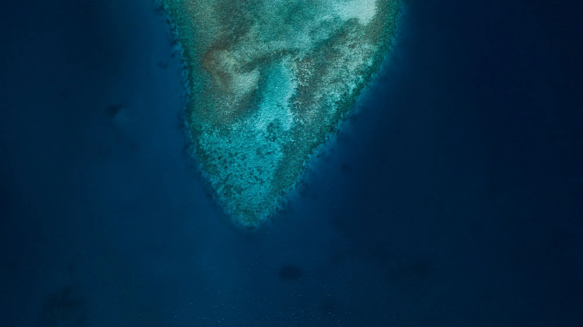 snorkeling in zanzibar