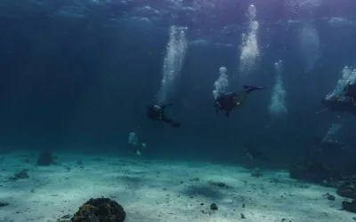 Why Zanzibar is a Scuba Diver’s Paradise