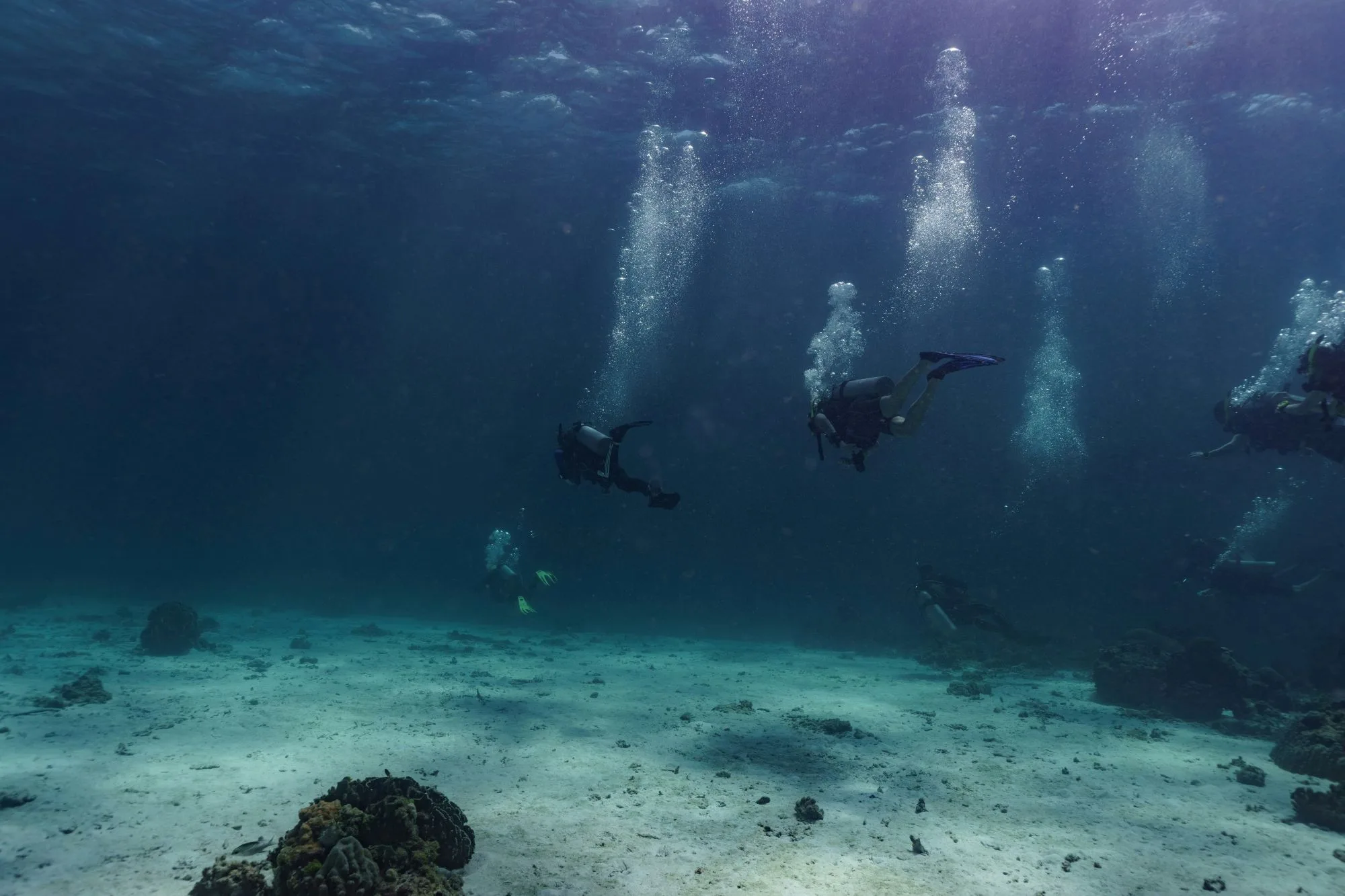 zanzibar scuba diving